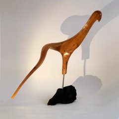 Oiseau Boomerang