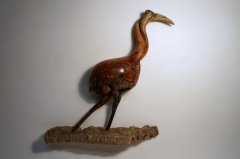 Ibis